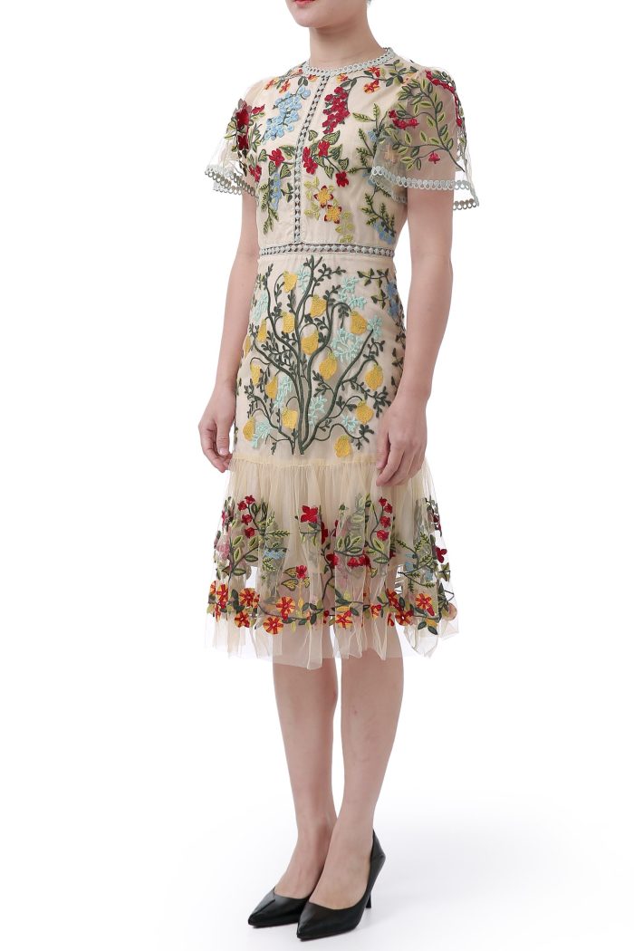 Embroidered mesh skirt